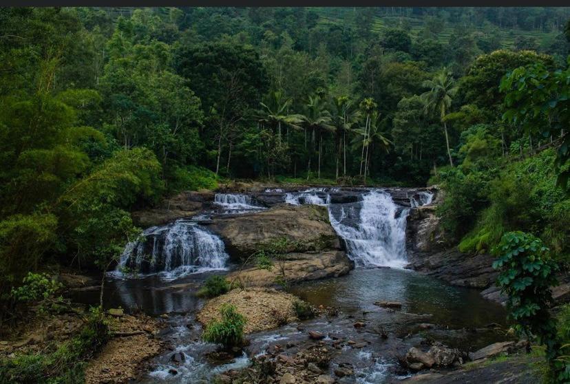 Ashvis Cottage Thekkady Zewnętrze zdjęcie
