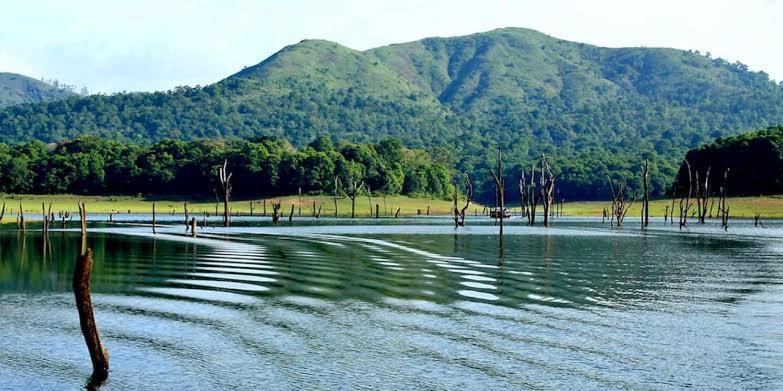 Ashvis Cottage Thekkady Zewnętrze zdjęcie